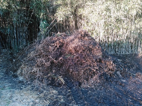 s-(5)仕込み完了の草質堆肥　約１かげつ後にもう一度切り返して微生物の活性を促す。黒褐色している堆肥は古い堆肥をタネ堆肥として混ぜた。